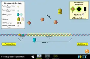 Biểu hiện gene : Những điều cơ bản